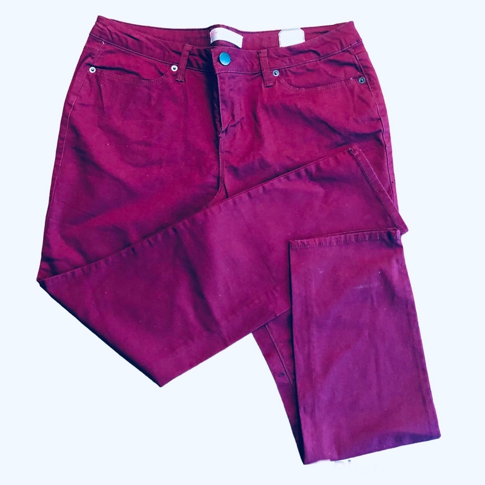 NO BOUNDARIES | Burgundy OPP Skinny Pants | Sz 17